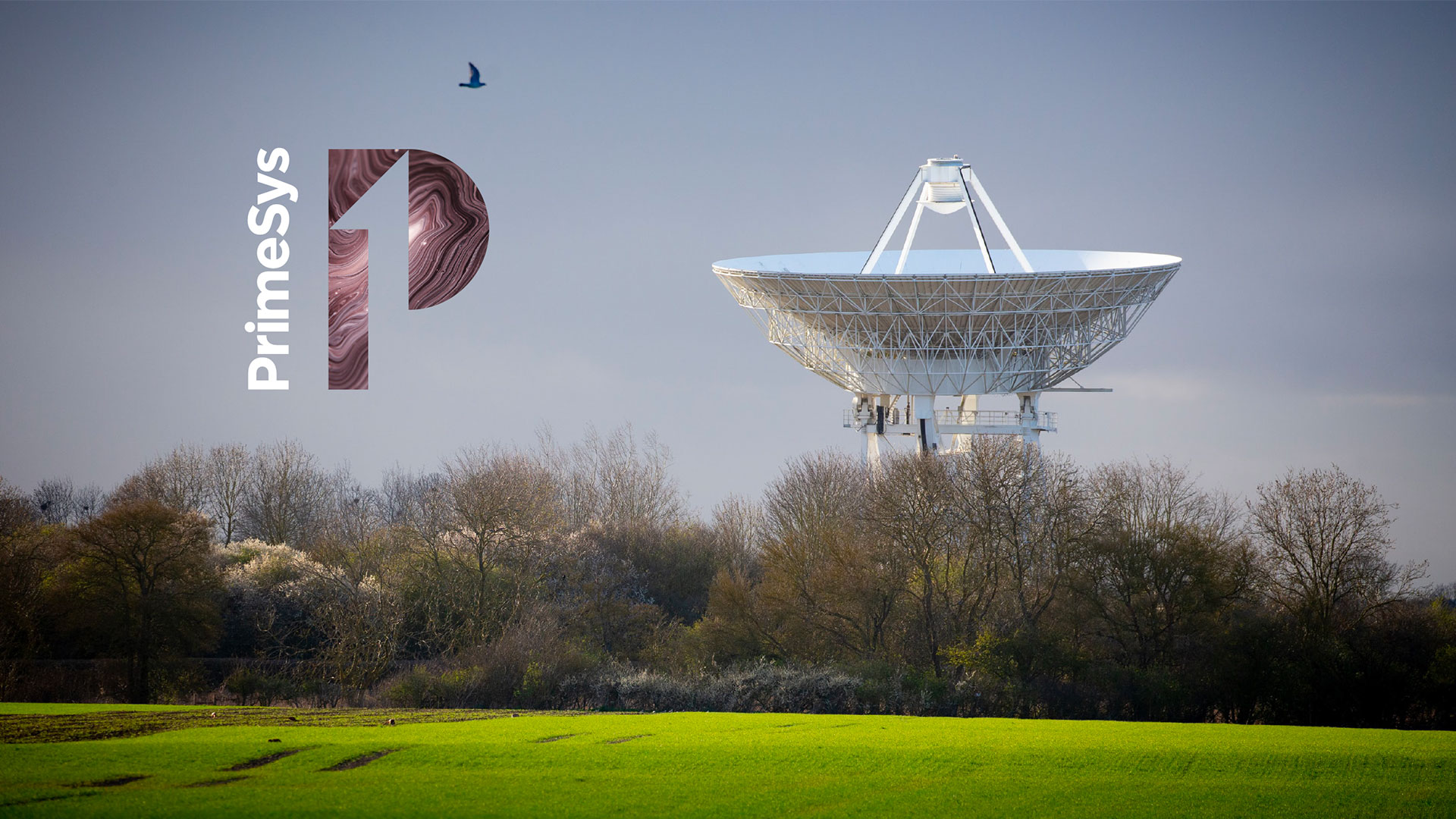 Logo design & brand identity, Stroud, Gloucestershire
